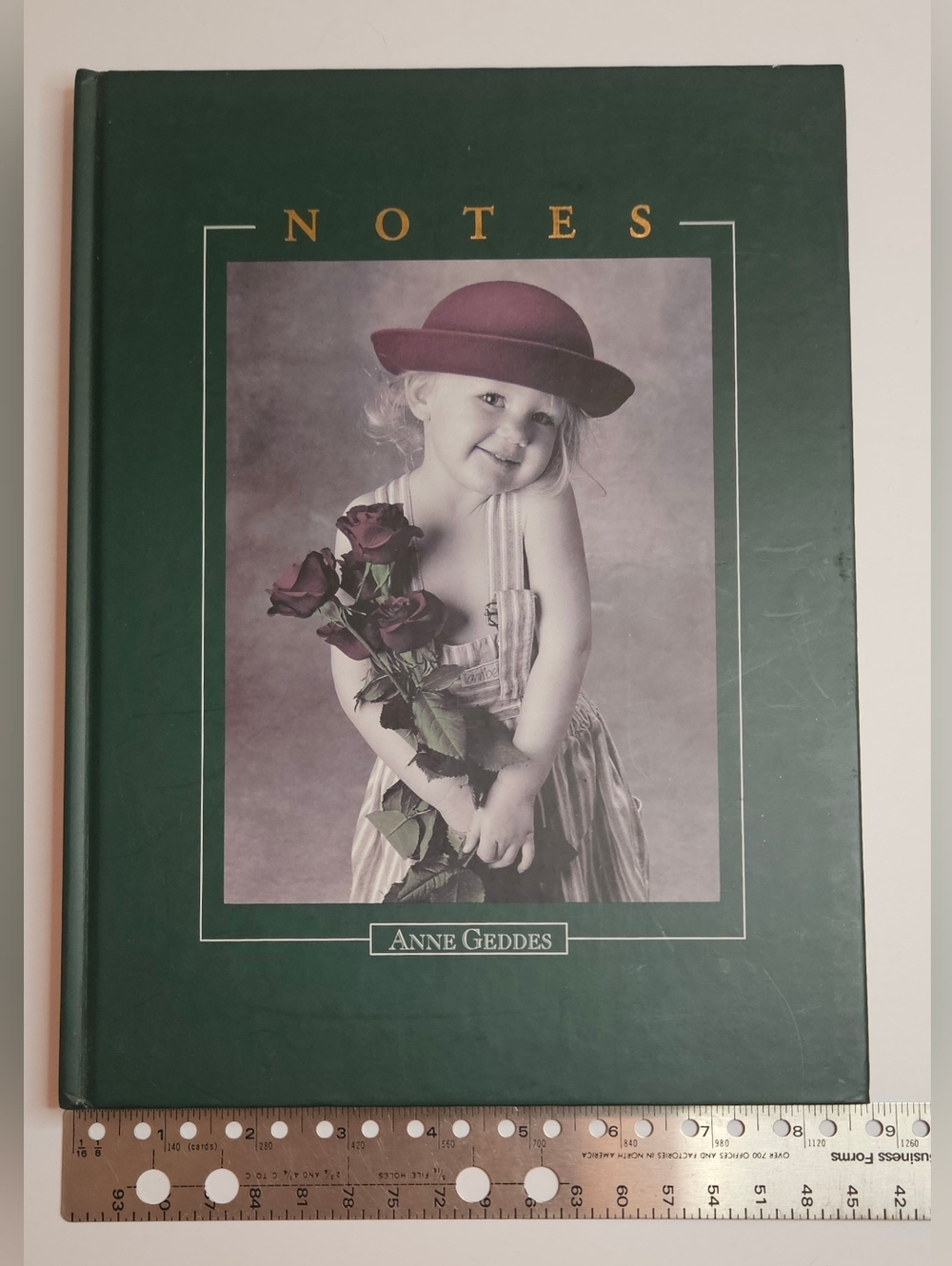 Anne Geddes Notebook Journal - Baby Holding Roses UnRuled Blank Pages 1996